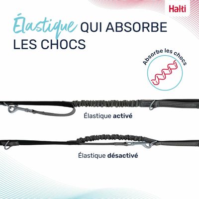 LAISSE MULTI POSITION ANATOMY HALTI GRIS