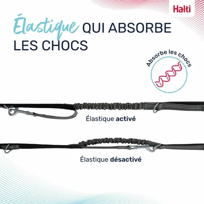 LAISSE MULTI POSITION ANATOMY HALTI GRIS