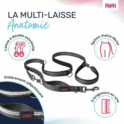 LAISSE MULTI POSITION ANATOMY HALTI GRIS