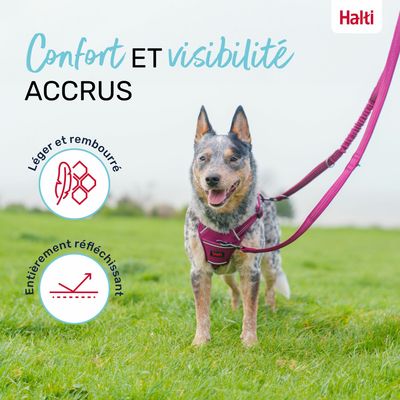 LAISSE MULTI POSITION ANATOMY HALTI GRIS