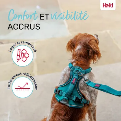 HARNAIS ANATOMY HALTI VERT