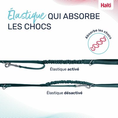 LAISSE MULTI POSITION ANATOMY HALTI VERT