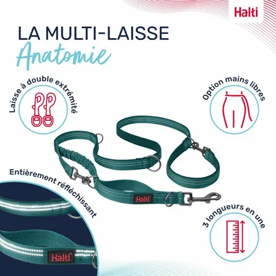 LAISSE MULTI POSITION ANATOMY HALTI VERT