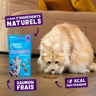 Edgard Cooper - Friandises Sans Céréales pour Chat fourrées au Saumon