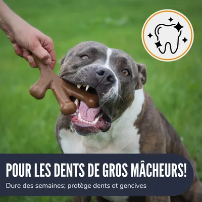Supravit Jouet pour chien ChewDeer
