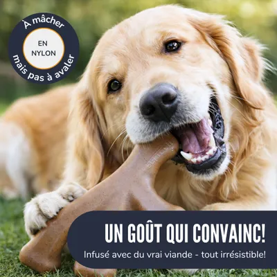 Supravit Jouet pour chien ChewDeer
