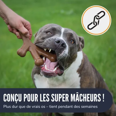 Supravit Jouet pour chien ChewDeer