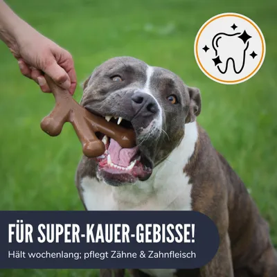 Supravit ChewDeer Hundespielzeug für starke Kauer