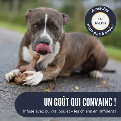 Supravit Jouet pour chien ChewDeer