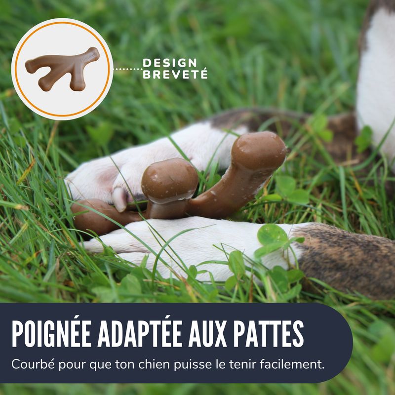 Supravit Jouet pour chien ChewDeer