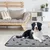 IntiMeg Nappie anti-urine pour chien