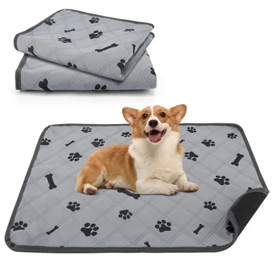 IntiMeg Nappie anti-urine pour chien