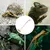 IntiMeg Pince pour aquarium et reptiles