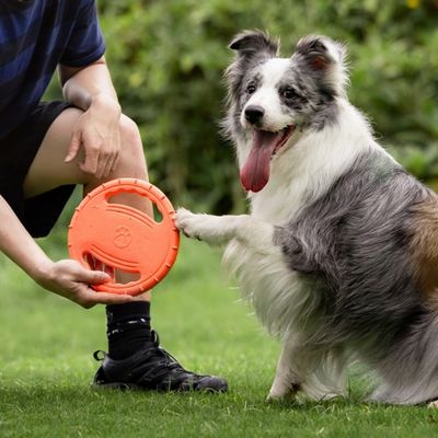 IntiMeg Jouet frisbee pour chien