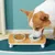 IntiMeg Set de table pour chat et chien