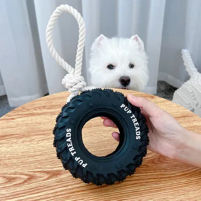 IntiMeg Jouet en forme de pneu pour ronger pour chien