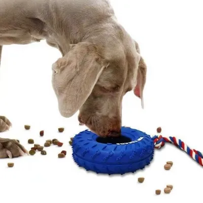IntiMeg Jouet en forme de pneu pour ronger pour chien