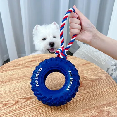 IntiMeg Jouet en forme de pneu pour ronger pour chien