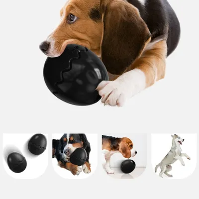 IntiMeg Jouet pour chien œuf de dinosaure