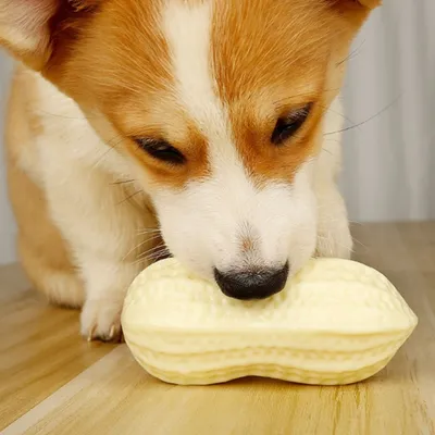 IntiMeg Jouet pour chat et chien Peanut