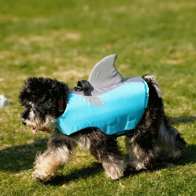 IntiMeg Rettungsweste für Hunde mit Flossen IntiMeg Rettungsweste für Hunde mit Flossen