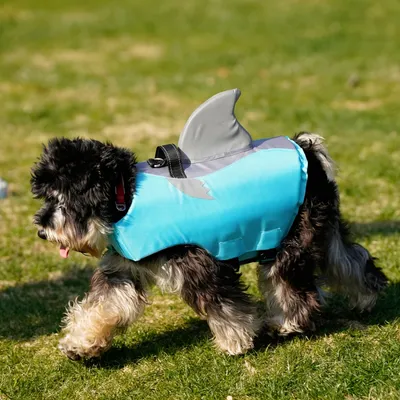 IntiMeg Rettungsweste für Hunde mit Flosse IntiMeg Rettungsweste für Hunde mit Flosse