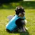 IntiMeg Rettungsweste für Hunde mit Flosse IntiMeg Rettungsweste für Hunde mit Flosse