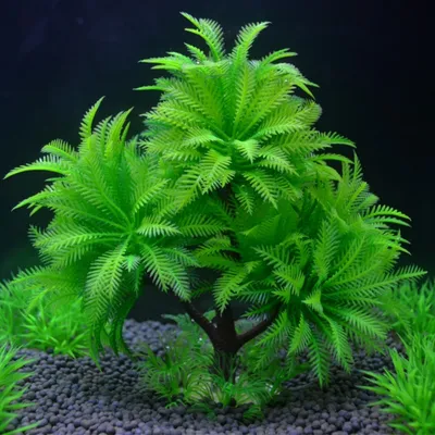 IntiMeg Plantes aquatiques de simulation d'aquarium