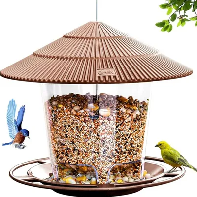 IntiMeg Mangeoire à oiseaux anti-écureuils
