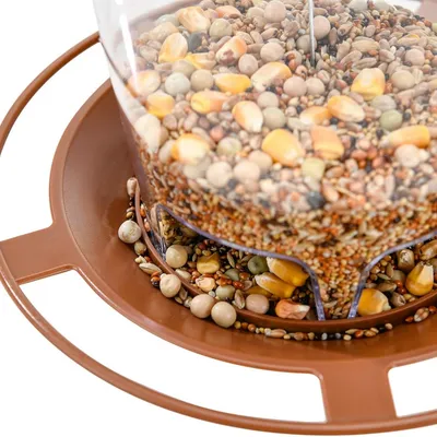 IntiMeg Mangeoire à oiseaux anti-écureuils