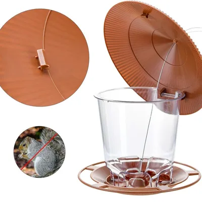 IntiMeg Mangeoire à oiseaux anti-écureuils