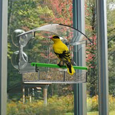 IntiMeg Mangeoire à oiseaux