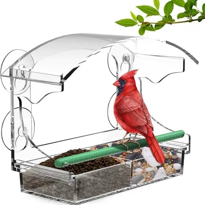 IntiMeg Mangeoire à oiseaux