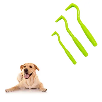 IntiMeg Dispositif anti-puces pour chiens