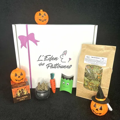 L'Eden des Pattounes - Box d'halloween L'Eden des Pattounes - Box d'halloween