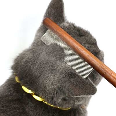 IntiMeg Ensemble de peignes anti-puces pour chat