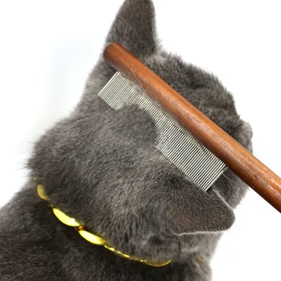 IntiMeg Ensemble de peignes anti-puces pour chat