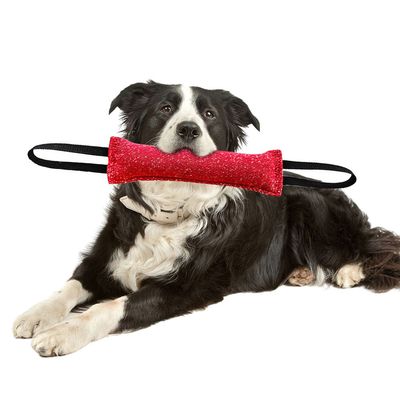 IntiMeg Jouet à mâcher pour dressage de chien