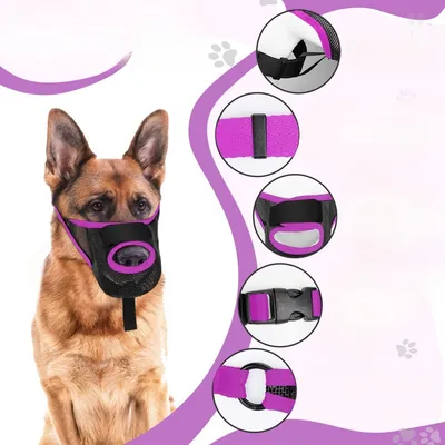 IntiMeg Muselière anti-morsure pour chien