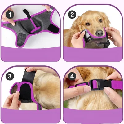 IntiMeg Muselière anti-morsure pour chien