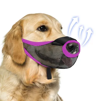 IntiMeg Muselière anti-morsure pour chien