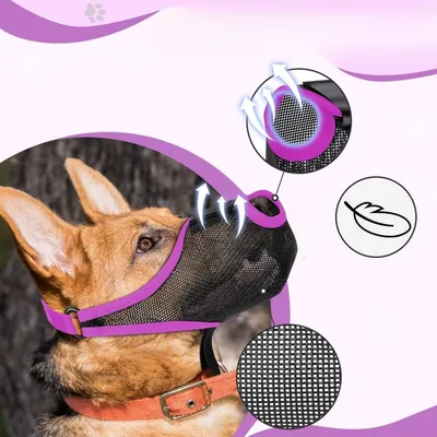 IntiMeg Muselière anti-morsure pour chien