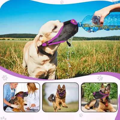 IntiMeg Muselière anti-morsure pour chien