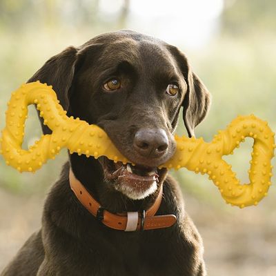 IntiMeg Jouet en forme d'os pour chien