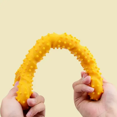 IntiMeg Jouet en forme d'os pour chien