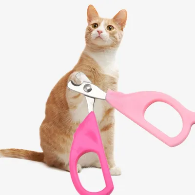 IntiMeg Ciseaux pour ongles de petits chats