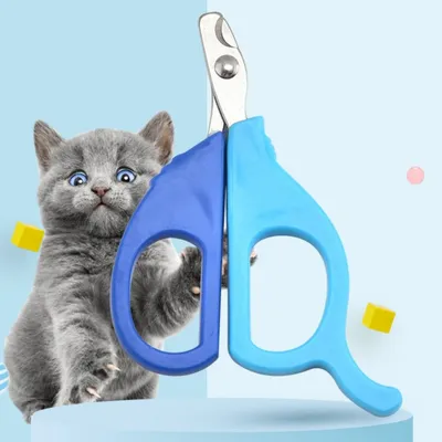 IntiMeg Ciseaux pour ongles de petits chats IntiMeg Ciseaux pour ongles de petits chats
