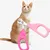 IntiMeg Ciseaux pour ongles de petits chats IntiMeg Ciseaux pour ongles de petits chats