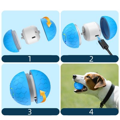 IntiMeg Balle interactive pour animaux de compagnie