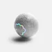 IntiMeg Balle interactive pour animaux de compagnie